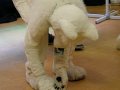2010-07-01=CesFur 106.jpg